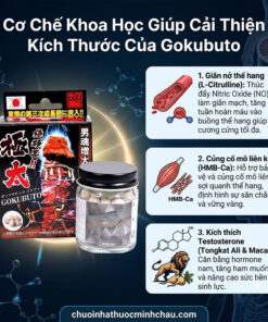 Cơ chế và thành phần viên uống Gokubuto Nhật Bản - Chuỗi Nhà Thuốc Minh Châu