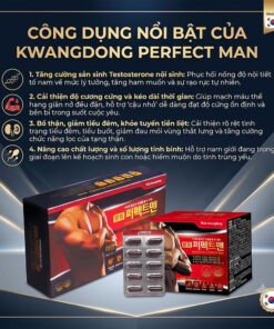 Công dụng viên uống Kwangdong Perfect Man giúp bổ thận tráng dương tăng Testosterone và giảm tiểu đêm