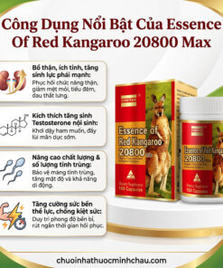 Công dụng nổi bật của Essence of Red Kangaroo 20800 max - Chuỗi Nhà Thuốc Minh Châu