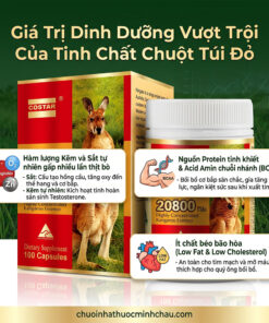 Giá trị dinh dưỡng vượt trội của tinh chất chuột túi đỏ Costar 20800 - Chuỗi Nhà Thuốc Minh Châu