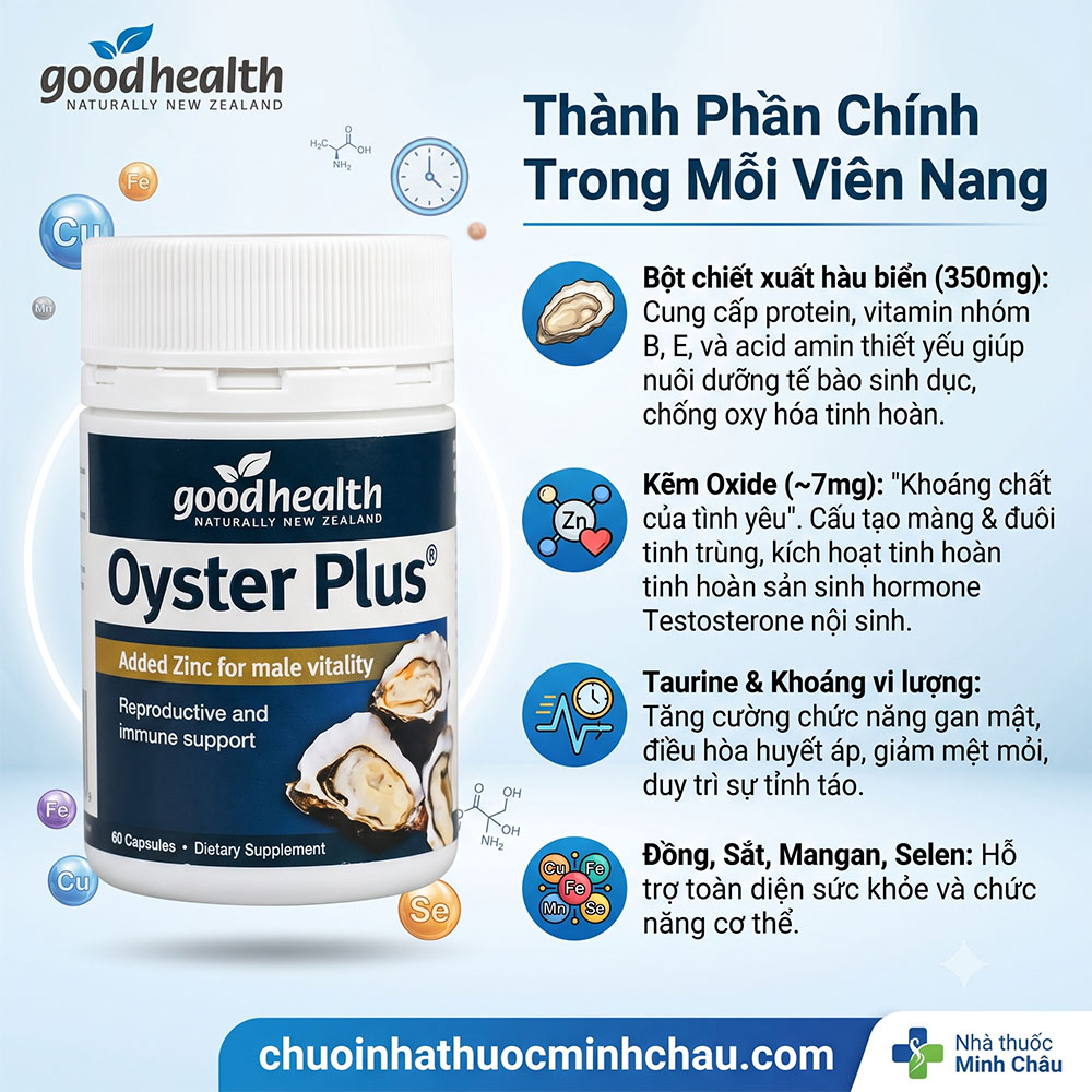 Thành phần chính tinh chất hàu Oyster Plus Goodhealth - Chuỗi Nhà Thuốc Minh Châu