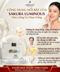 4 công dụng nổi bật của Sakura Luminous: dưỡng sáng hồng da, mờ thâm nám tàn nhang, chống nắng sinh học và ngừa lão hóa