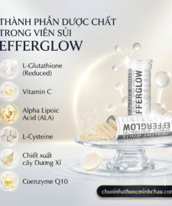 Bảng thành phần dược chất L-Glutathione Vitamin C ALA và chiết xuất dương xỉ trong viên sủi Efferglow