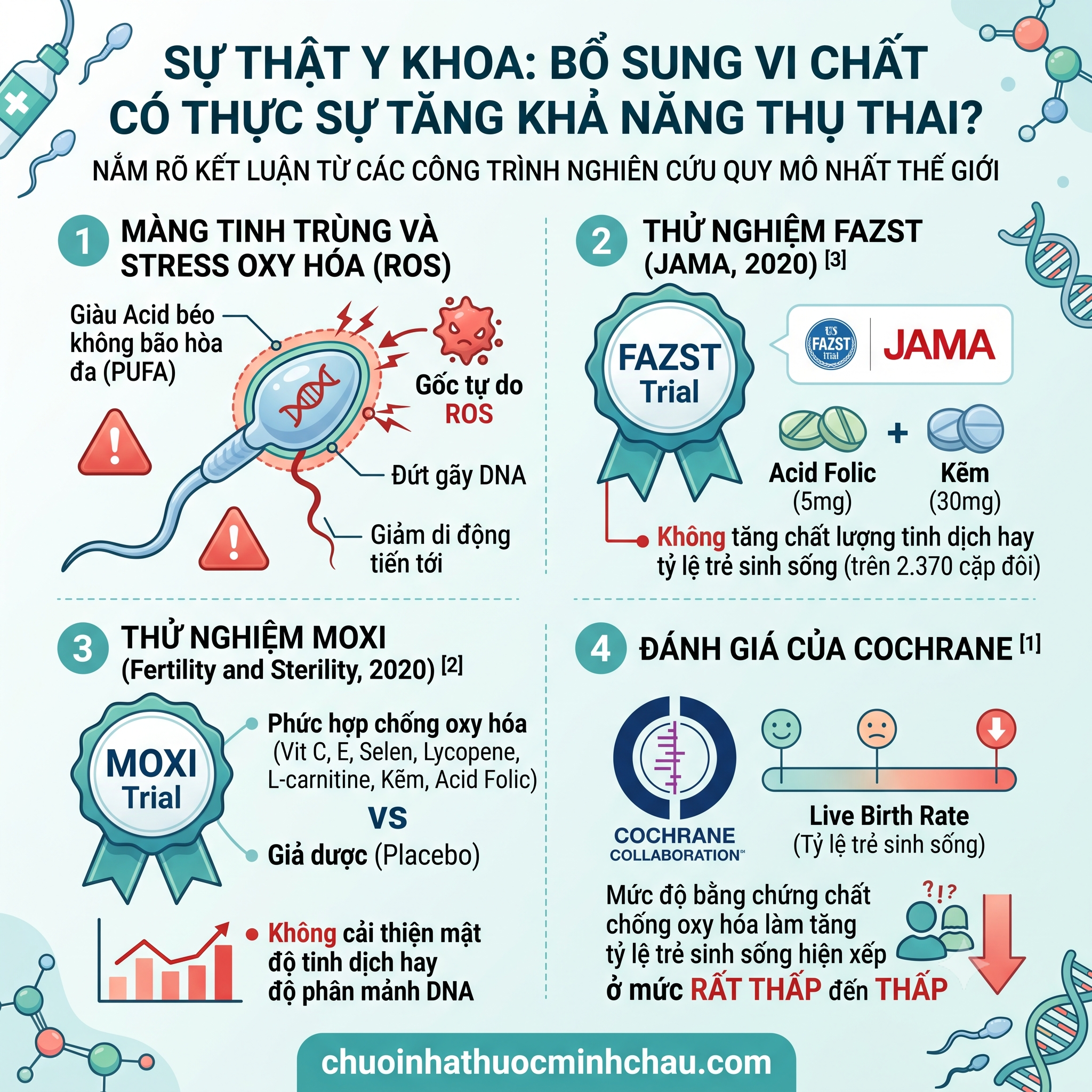 Bằng chứng khoa học về bổ sung vi chất bổ tinh trùng - Phân tích thử nghiệm FAZST trên JAMA, MOXI và tổng quan Cochrane
