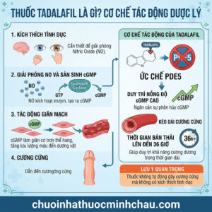 Thuốc Tadalafil Là Gì? Cơ Chế Tác Động Dược Lý
