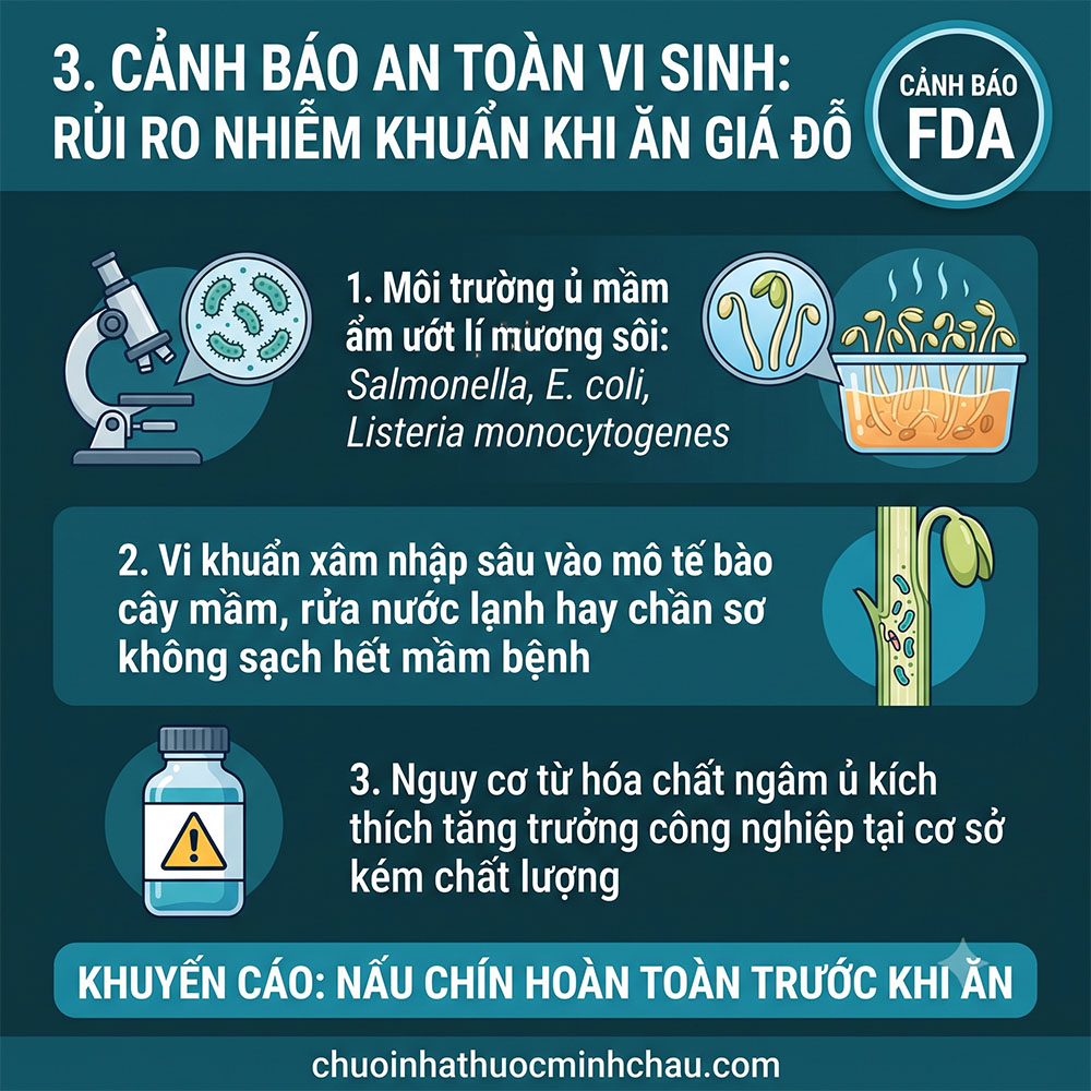 Ăn giá đỗ có tác dụng gì cho nam giới - Cảnh báo an toàn vi sinh nguy cơ nhiễm khuẩn Salmonella và E coli theo FDA