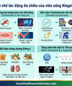 Cơ chế tác động đa chiều của viên uống KingsUp Thái Minh gồm Ostholodin tăng NO Damilib bảo toàn testosterone thảo dược bổ thận và vi chất tăng thể lực