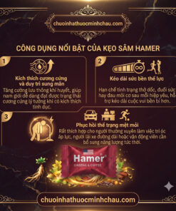Công dụng kẹo sâm Hamer giúp tăng sinh lực dẻo dai bồi bổ thể trạng và kéo dài phong độ suốt 48 giờ