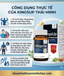 công dụng thực tế của KingsUp Thái Minh gồm bổ thận tráng dương làm chậm mãn dục cải thiện tiểu đêm đau lưng và nâng cao chất lượng tinh trùng