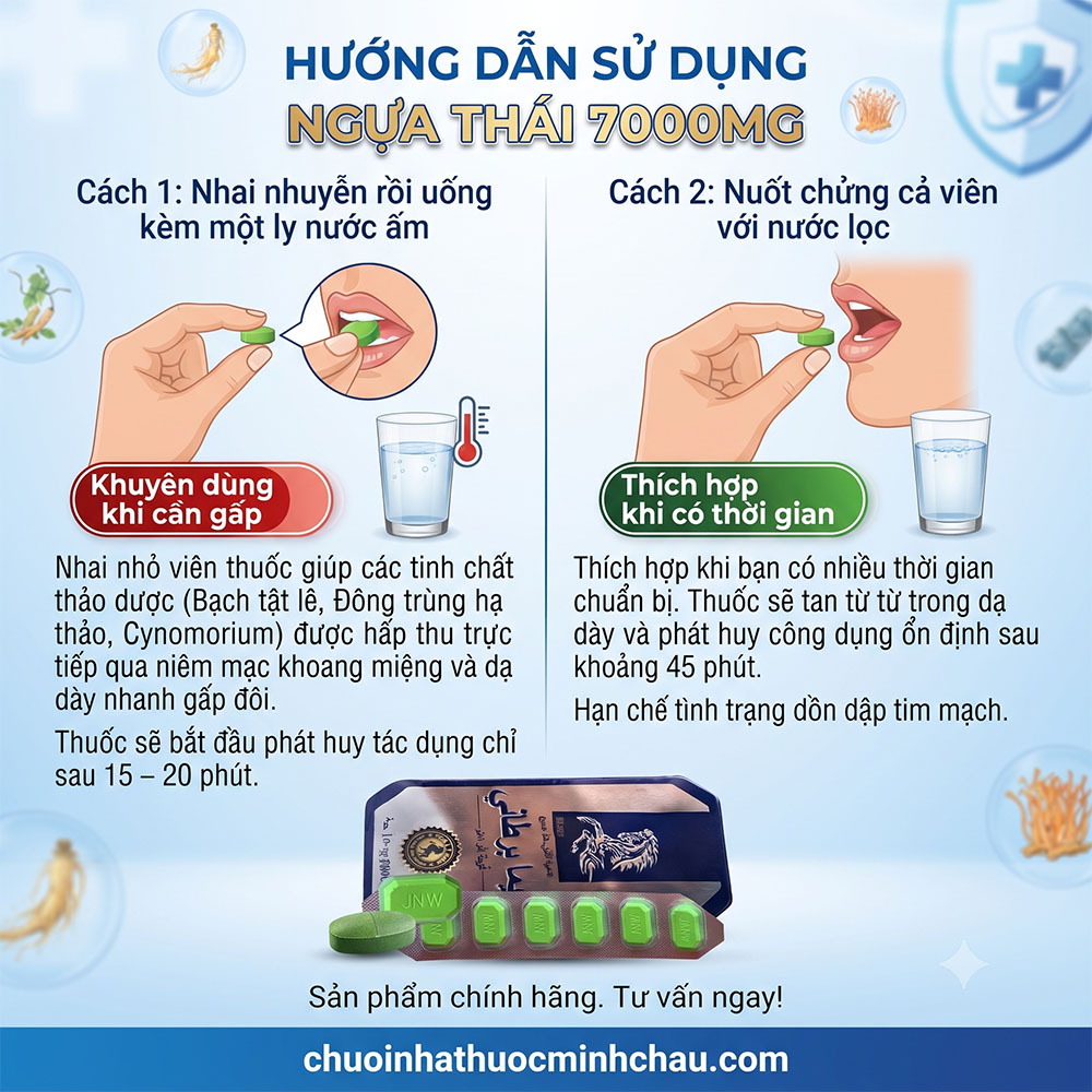 Infographic hướng dẫn cách sử dụng thuốc cường dương Ngựa Thái 7000mg nên nhai hay nuốt từ Nhà Thuốc Minh Châu