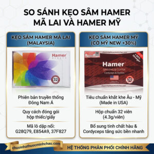 So sánh kẹo sâm Hamer Mã Lai và Hamer Mỹ - Chuỗi Nhà Thuốc Minh Châu