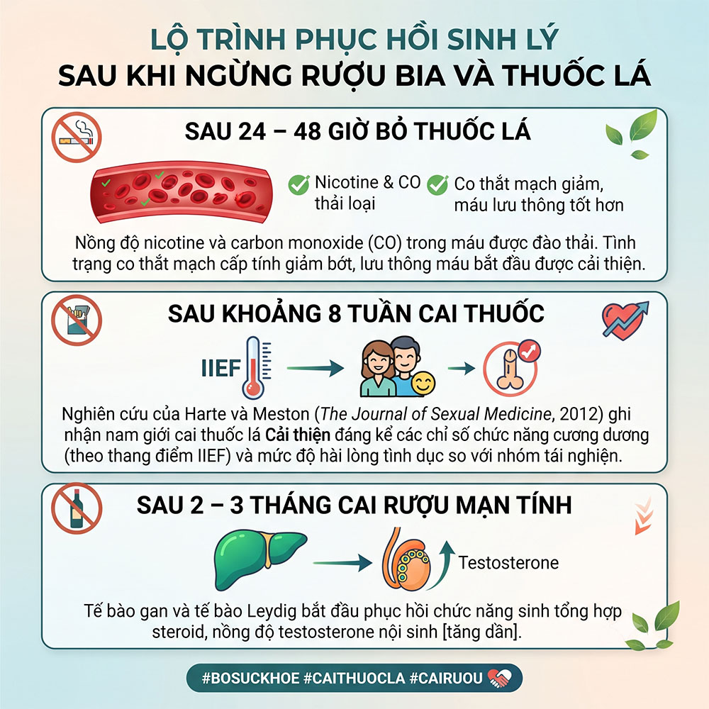 Tác hại của rượu bia và thuốc lá với sinh lý nam - Lộ trình phục hồi sinh lý và độ cương sau khi ngừng rượu bia thuốc lá