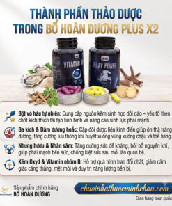 Bảng thành phần thảo dược tự nhiên trong Bổ Hoàn Dương Plus X2 gồm bột vỏ hàu ba kích dâm dương hoắc