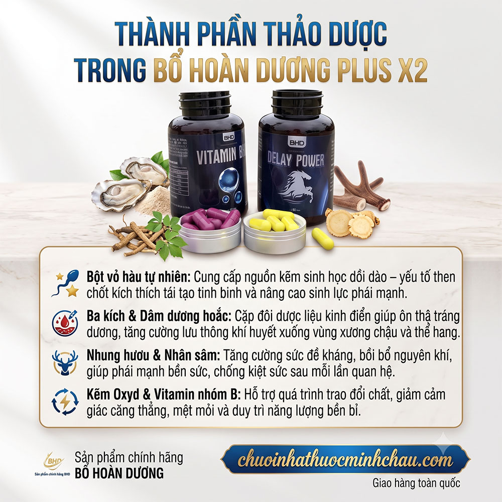 Bảng thành phần thảo dược tự nhiên trong Bổ Hoàn Dương Plus X2 gồm bột vỏ hàu ba kích dâm dương hoắc