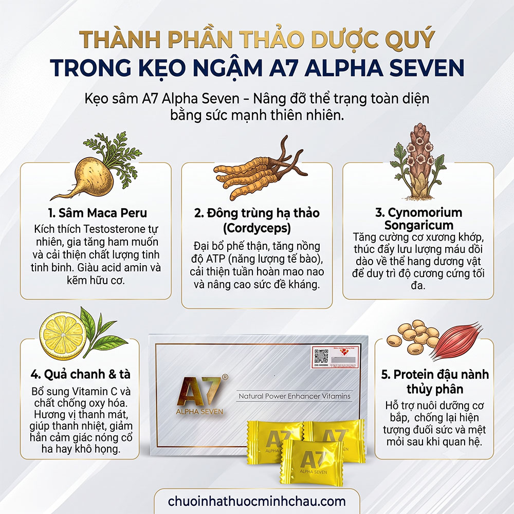 Bảng thành phần thảo dược tự nhiên trong kẹo sâm A7 gồm sâm Maca đông trùng hạ thảo và tinh chất chanh