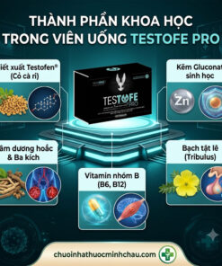 Bảng thành phần hoạt chất sinh học trong viên uống Testofe Pro gồm chiết xuất Testofen dâm dương hoắc và kẽm sinh học