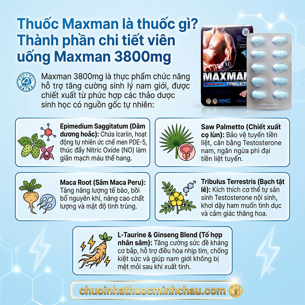 Bảng thành phần thảo dược tự nhiên trong viên uống Maxman 3800mg gồm dâm dương hoắc cọ lùn và sâm Maca