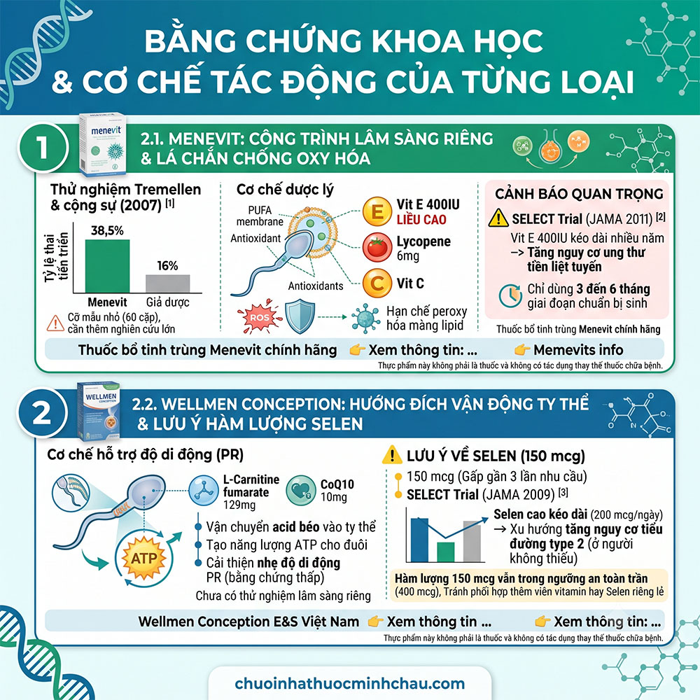 Bằng chứng khoa học và cơ chế tác động của Menevit và Wellmen Conception gồm thử nghiệm Tremellen 2007 và nghiên cứu SELECT