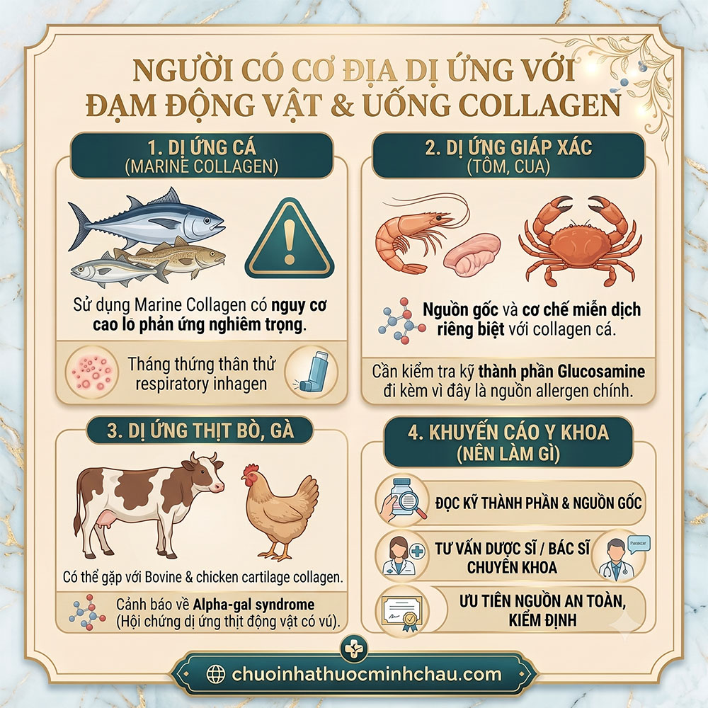 Người có cơ địa dị ứng đạm động vật và uống collagen phân biệt dị ứng cá giáp xác tôm cua thịt bò gà