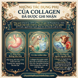 Những tác dụng phụ của collagen đã được ghi nhận: khó chịu tiêu hóa, dư vị khó chịu và nguy cơ dị ứng nguồn nguyên liệu