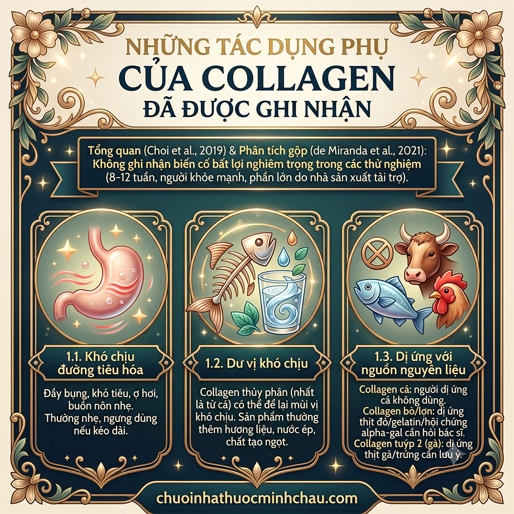 Những tác dụng phụ của collagen đã được ghi nhận: khó chịu tiêu hóa, dư vị khó chịu và nguy cơ dị ứng nguồn nguyên liệu