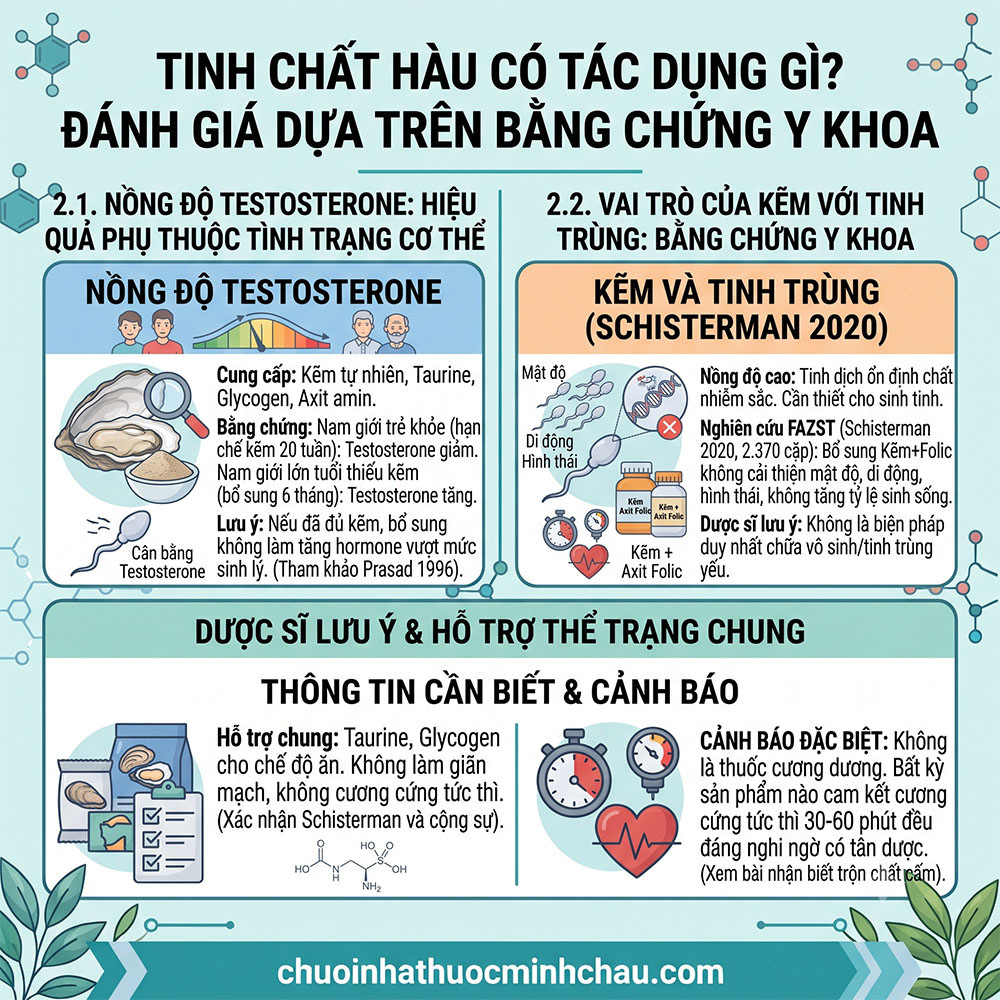 Tinh chất hàu có tác dụng gì đánh giá dựa trên bằng chứng y khoa về testosterone và tinh trùng