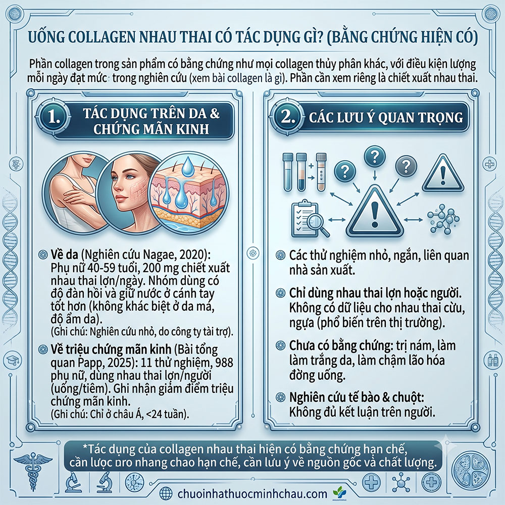 Uống collagen nhau thai có tác dụng gì: tóm tắt nghiên cứu Nagae 2020 trên da, tổng quan Papp 2025 về mãn kinh và các lưu ý bằng chứng y khoa